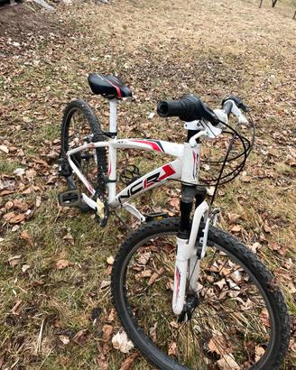 bicicletta mountain bike bambino