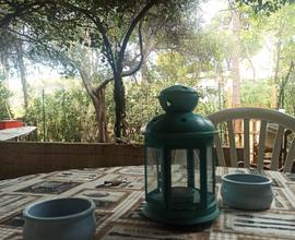 Principina a Mare (Grosseto)