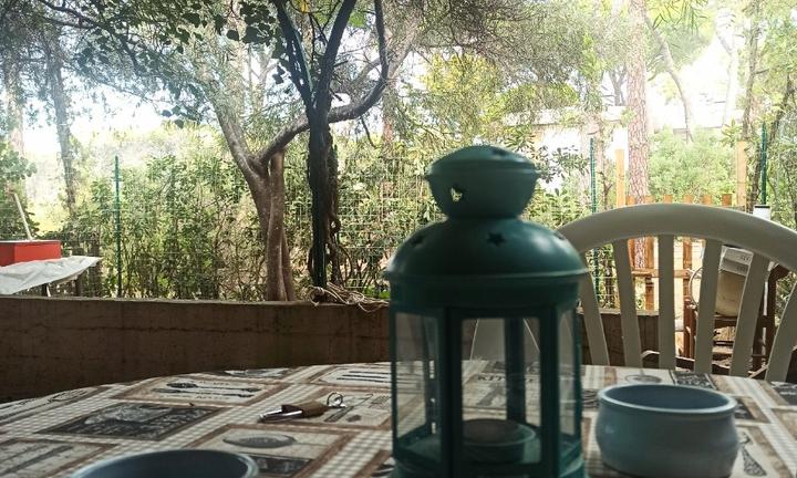 Principina a Mare (Grosseto)