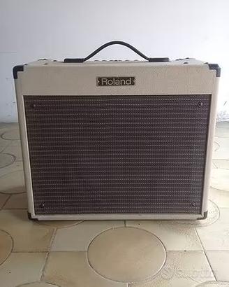 Roland Blues Cube BC-60