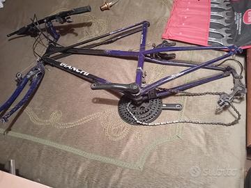 Bianchi Pholcu