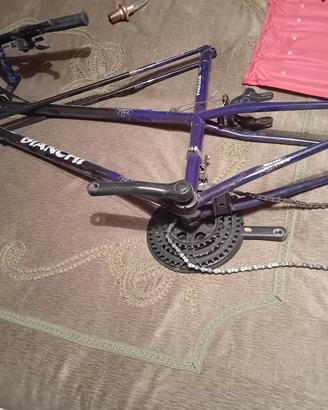 Bianchi Pholcu