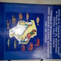 Sintesi risorse pesca Mediterraneo Syndem 1999