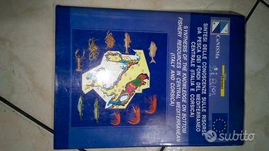 Sintesi risorse pesca Mediterraneo Syndem 1999