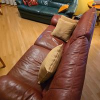 DIVANI VERA PELLE COPPIA O SINGOLI - NATUZZI 
