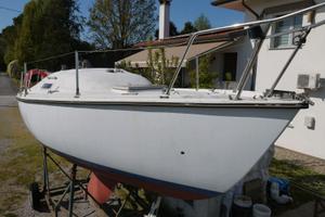 Barca a vela Classis Boxer 24