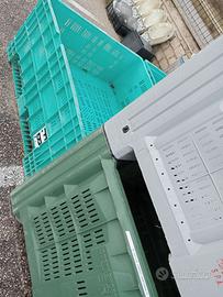 Recipienti grandi in plastica per frutteria