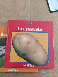 libro scientifico