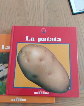 libro scientifico