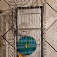 gabbia per criceti 