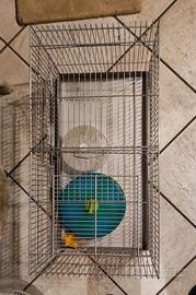 gabbia per criceti 