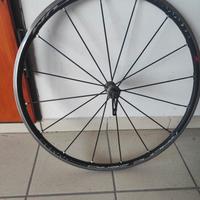 Cerchioni Fulcrum
