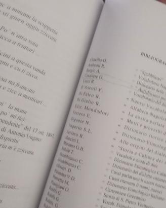 vocabolario dialetto brindisino ennio masiello