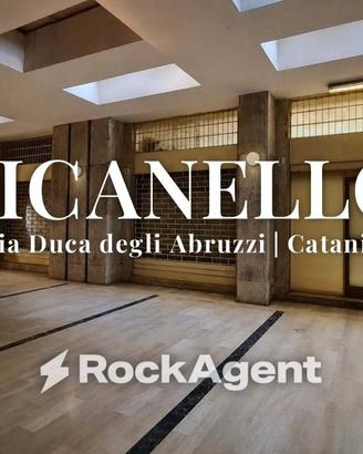 Immobile di 135 m² a Catania