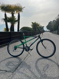 Mtb Bianchi M