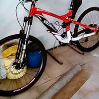 Mountain bike Specialized del 2008