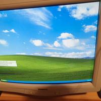 Monitor Philips 109 E50 del 2005