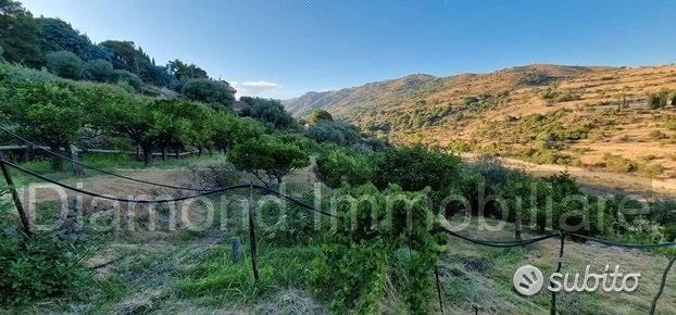 Terreno agricolo 12.000 mq a piedimonte etneo - Vista 2