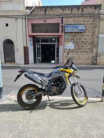 Voge Rally 300 - 2022