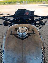 Harley Davidson sportster