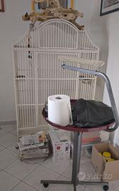 Gabbia per pappagalli