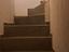 Immagine 11