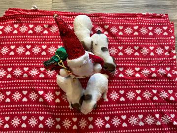 Jack Russell Terrier