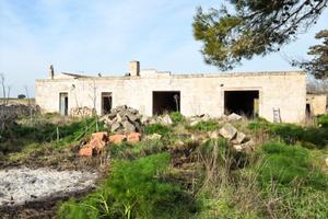 rustico-altamura-zona-via-cassano