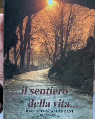 il sentiero dell vitA