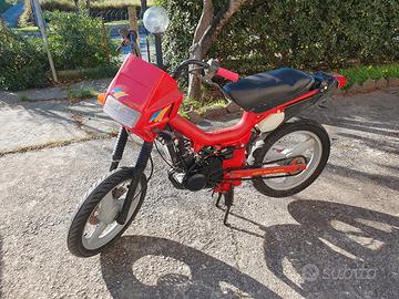 Malaguti fifty top polini 