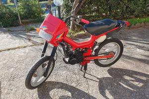 Malaguti fifty top polini 