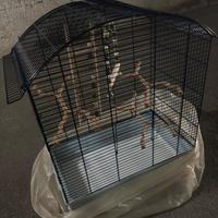 Gabbia per pappagalli/cocoriti