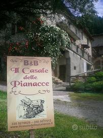 Il Casale delle Pianacce - Castiglione Garfagnana