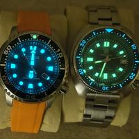 Citizen Promaster + steeldive Willard