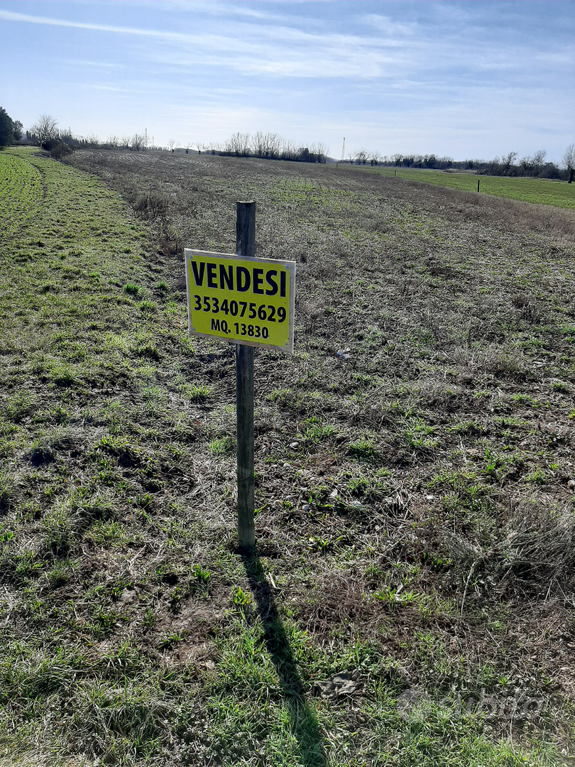 Vendita terreni agricoli - zona Moimacco - Vista 4