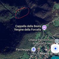 Porzione di bosco per legna