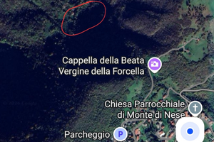 Porzione di bosco per legna