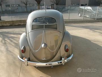 VOLKSWAGEN MAGGIOLINO (1956) vetro OVALE ovalino
