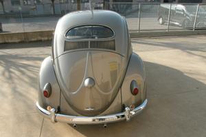 VOLKSWAGEN MAGGIOLINO (1956) vetro OVALE ovalino