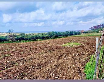 Terreno Agricolo san vito lo capo 
