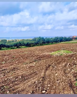 Terreno Agricolo san vito lo capo 