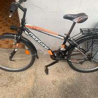 Bici ragazzo