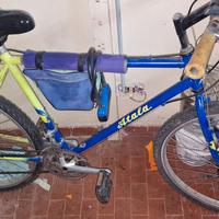 bici atala 