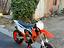 Immagine 6