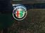 Immagine 12
