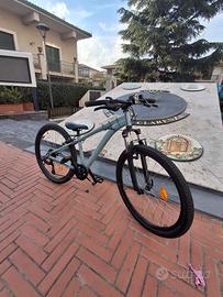 bicicletta