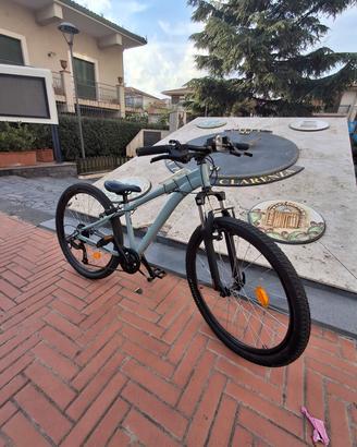 bicicletta