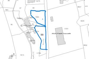 Terreni zona Gallicano, loc. Casette, prov. Lucca