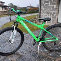 bicicletta ragazzi 