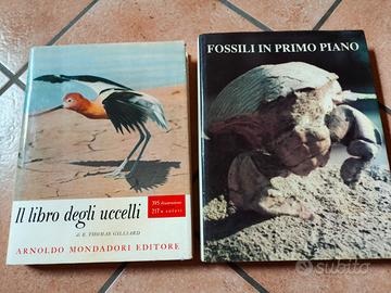 Libri 